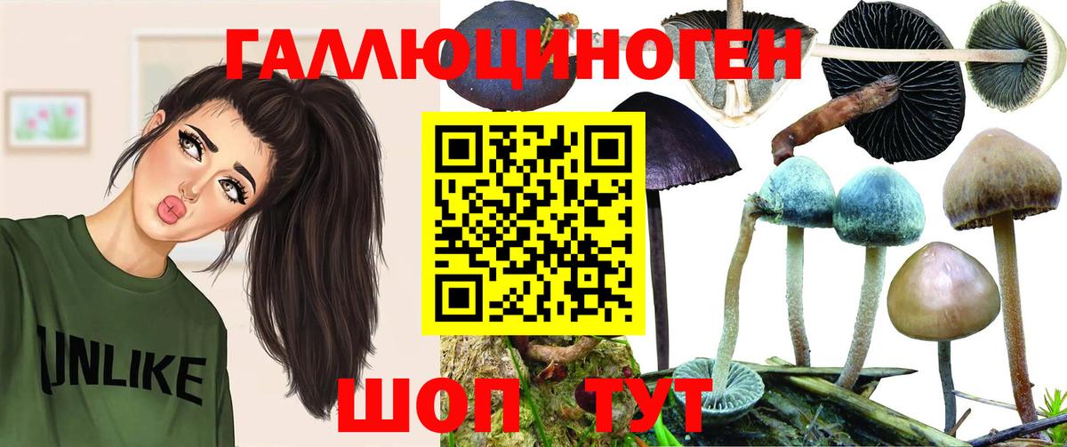 что такое наркотик  Галлюциногенные грибы мицелий  Вход с VPN  Псилоцибиновые грибы MAGIC MUSHROOMS  Псков 